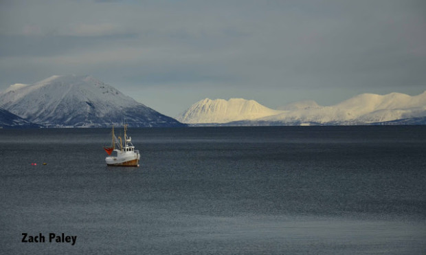 Snow to the beach in the arctic circle 