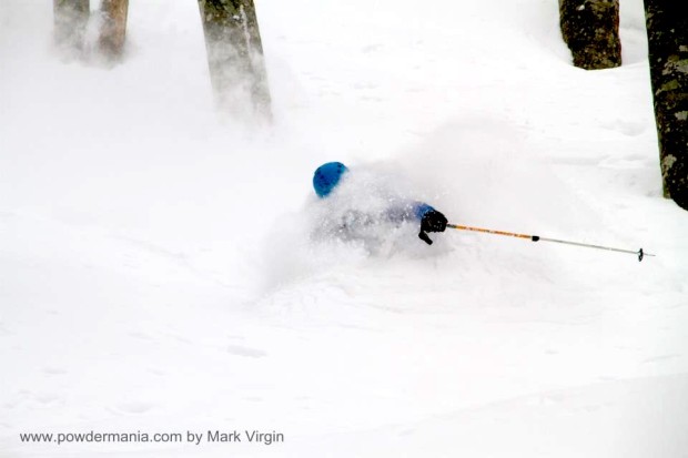 muffled.  photo:  Patrick Fux/Powdermania.com