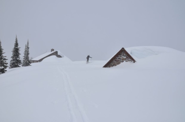 GNP plowing 3