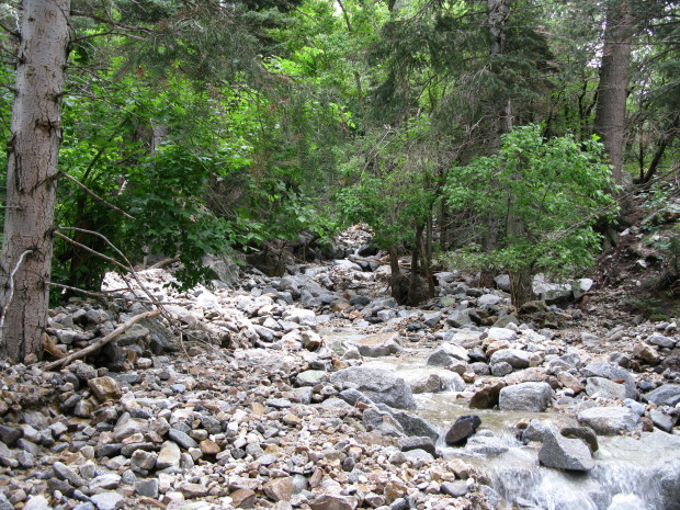 In the worst hit areas rock has flowed far from the original stream bed boundaries.