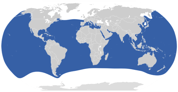 Global distribution of Great White Sharks in blue = pretty much everywhere