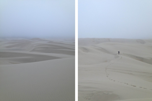 In search or larger dunes.