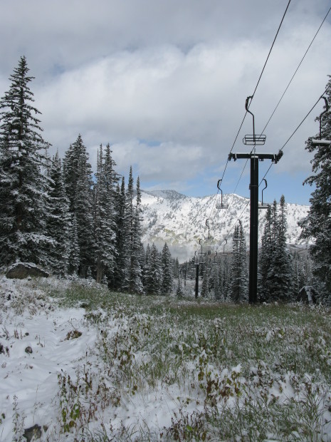 Albion Basin - Alta, Utah