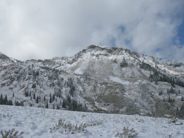 Alta's "Backside"