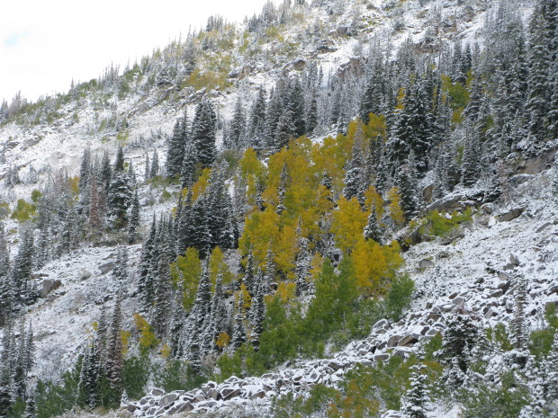 Patsy Marley - Alta, Utah