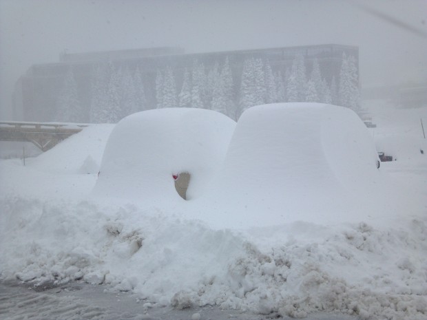 Typical scene in the Snowbird Lots during storms of "The Greatest Snow on Earth" Photo: Kyler Roush