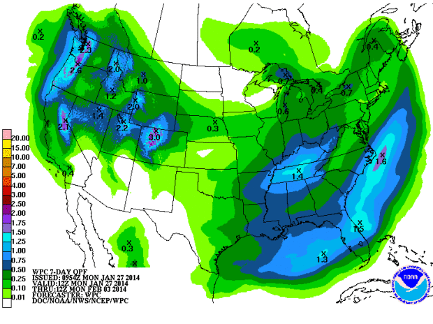 precip forecast