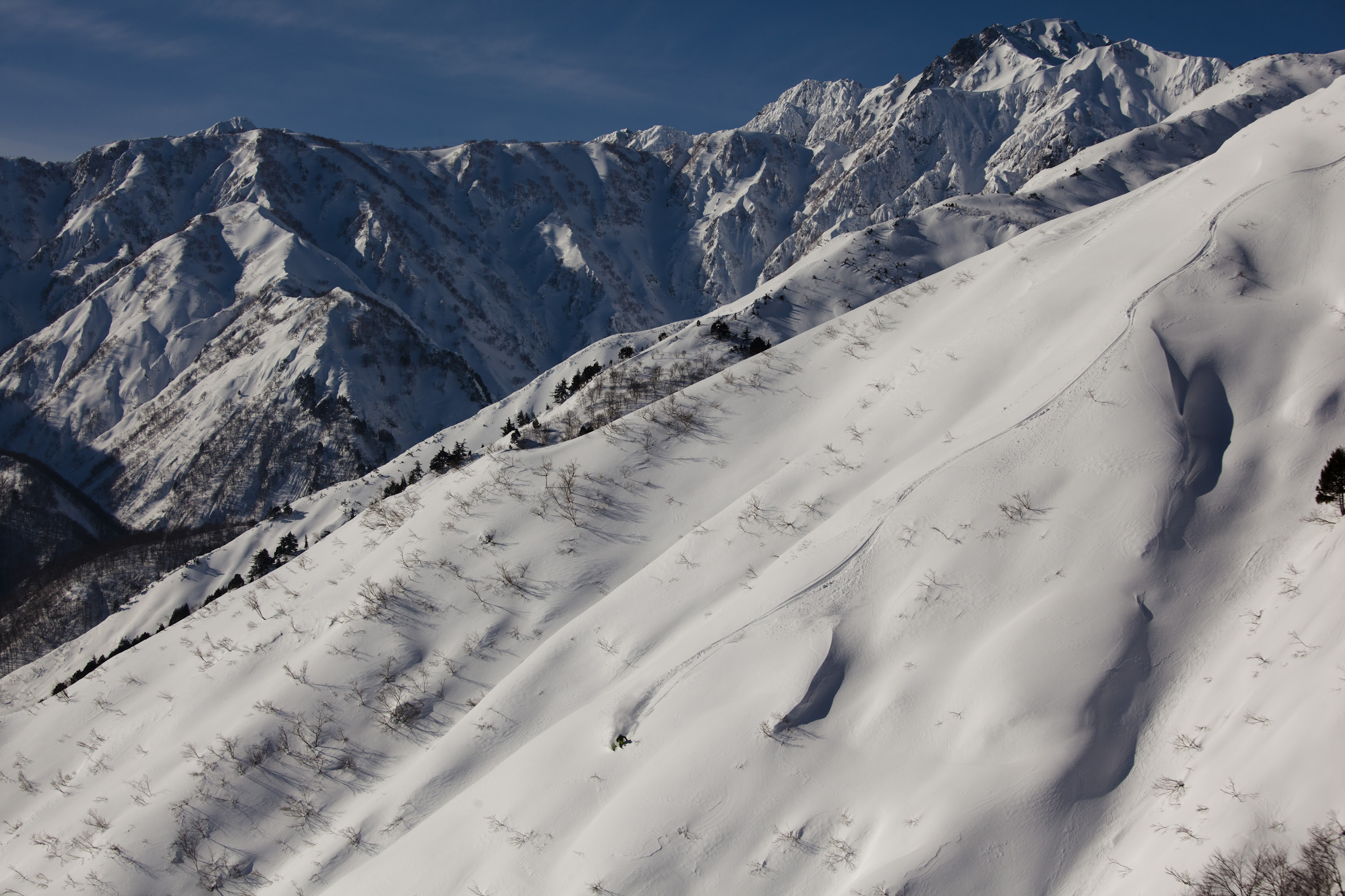 Miles Clark in the Hakuba, Japan backcountry. photo: zach paley