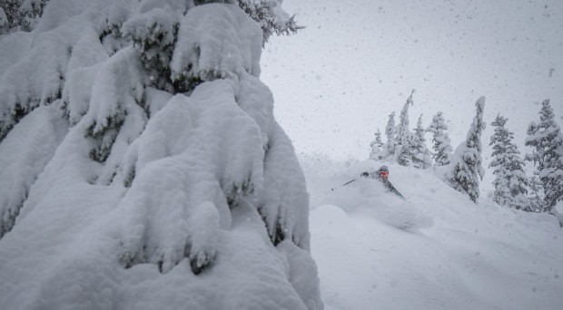 The snow keeps a-comin'--This pic's from yesterday at Mt. Hood Meadows!