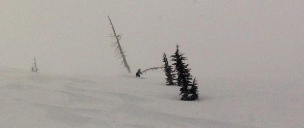 Farming some of that powdery goodness at Squaw Valley