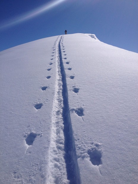 Skin tracks.