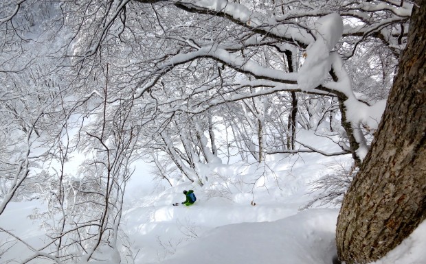 Miles sliding tree spines.