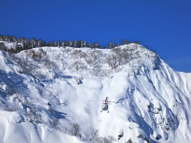 Travis Gohan flies in helicopters.