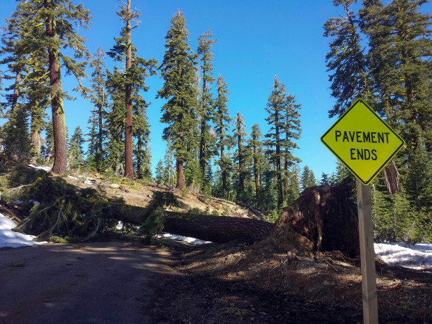 Although the road is mostly clear of snow, several downed trees might keep the road closed a little later than otherwise.