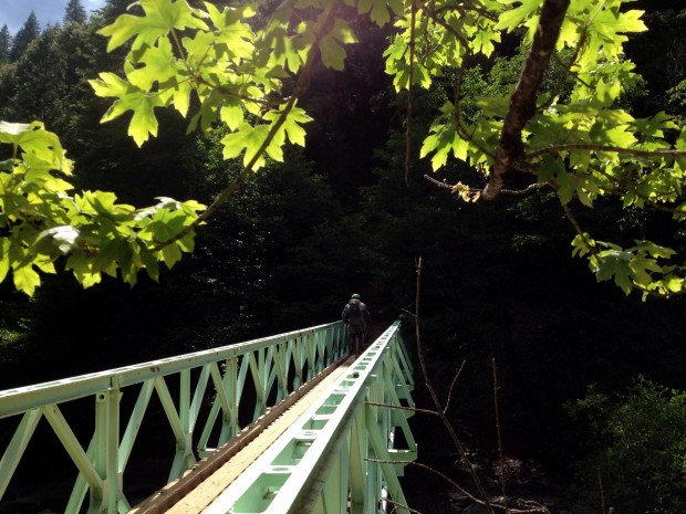 Pauly Creek Bridge