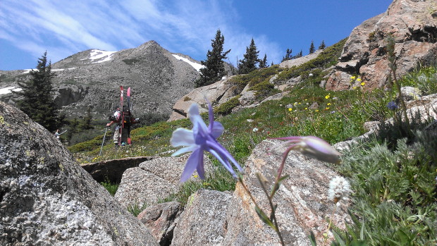 flowers, ephemeral streams and snow on a beautiful colorado day