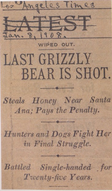 Grizzly bears in Orange County?  Yep.