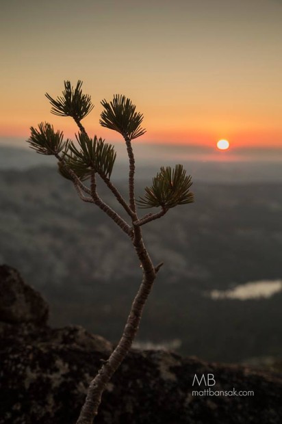 Smoke over Desolation Wilderness