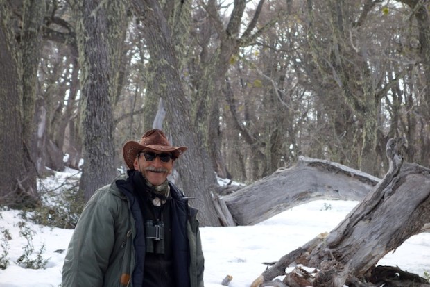 El Abuelo in the Lenga tree forest.