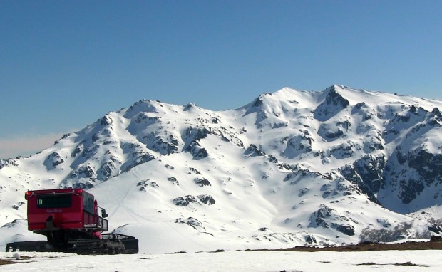 Baguales terrain and cat.