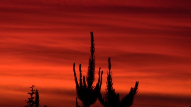 Sunset on Punta de Lobos is worth a look.