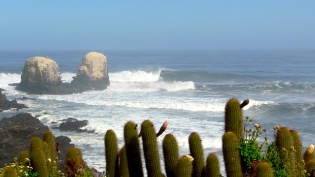 Punta de Lobos firing last Saturday.