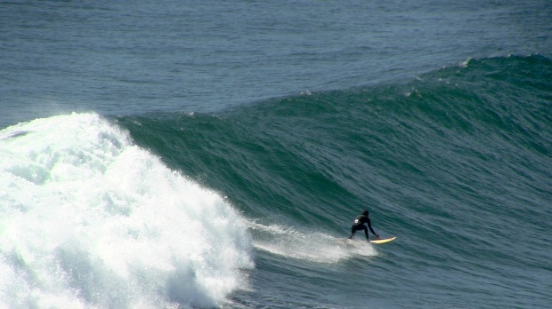 Local ripper on a big 'un.