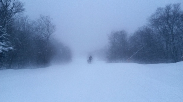 Skinning up in heavy snowfall