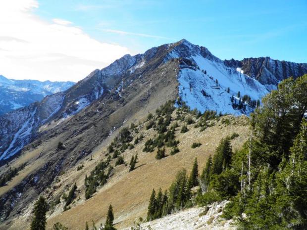 Steep, North-facing slopes above 9,500 ft in upper LCC and BCC