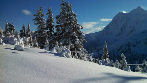 Mt. Baker today, November 29th, 2014