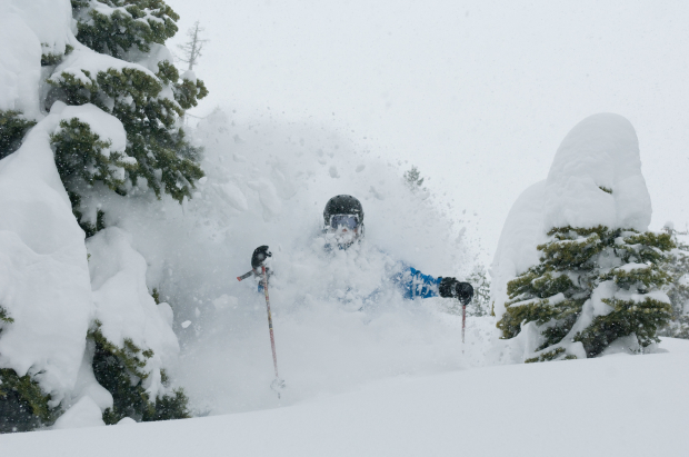 A girl ripping pow on skis.  photo:  Hank de Vre