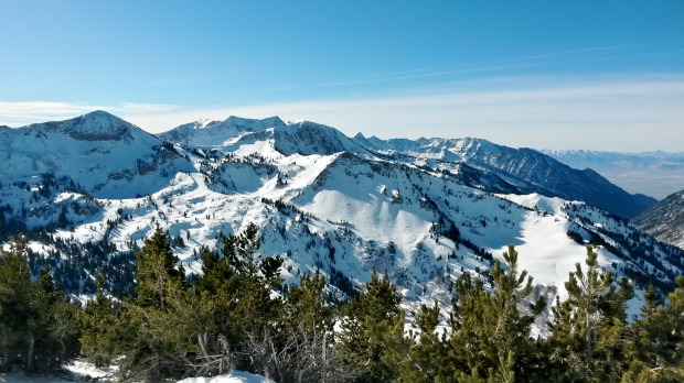 Backside holding good chalky snow