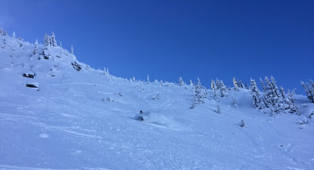 The glades near Elk Chutes were shaded for most of the day, allowing the snow to remain dry and light. 