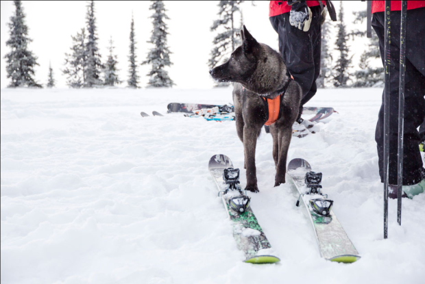 RMR Ski Patrol preparing for opening day (revelstokemountainresort.com)