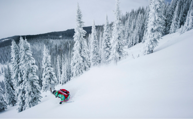 revelstokemountainresort.com