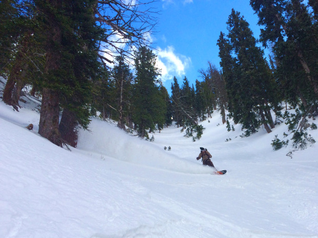 Fresh turns for days!! Rider: Warren Ostler