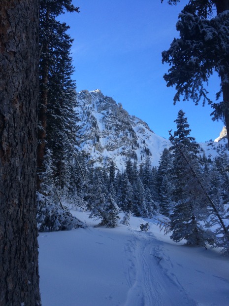 Beauty surrounds the Tetons