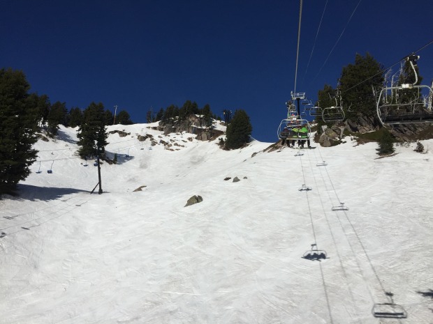 The main bowls looking soft and shredable.