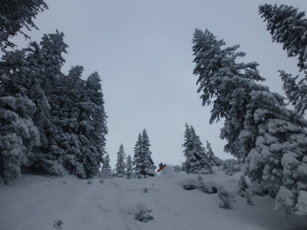 Hidden Jumps in the Forest