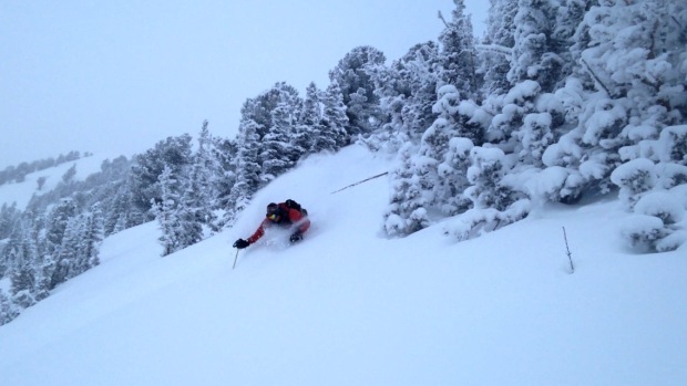 Cold Smoke [Photo: joey Campanelli, Skier: Sam Feltch]