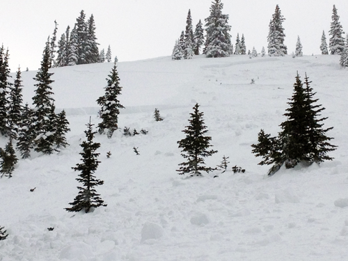 The crown of the skier-triggered avalanche (Colorado Avalanche Information Center)