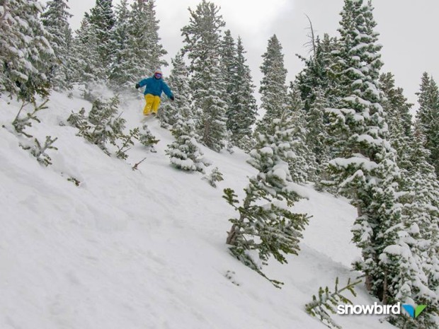 Snowbird, UT on February 22nd, 2015.  photo:  snowbird