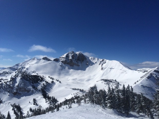 A little new snow and the upper elevations saw their fair share of tracks.