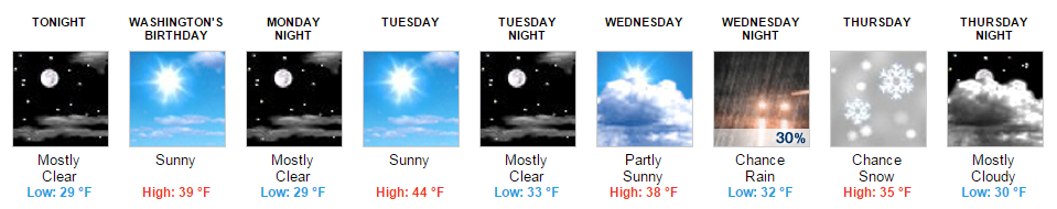 xtalforecastfeb15