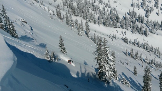 Slaying lines [Photo: Aaron Rice, Skier: Curtis Freeman]