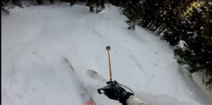 Silverton has some great tree skiing. 