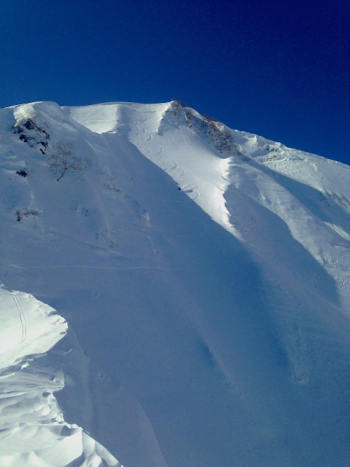 Turns from the top. Lee Lyon photo, Zach Paley skier.