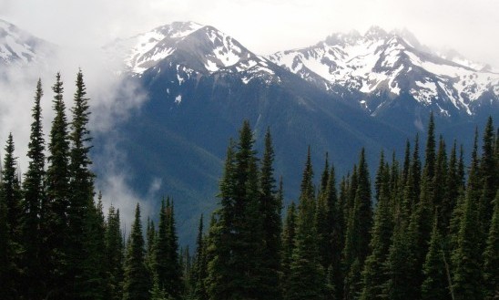 The Olympic National Forest (www.nationalforests.org)