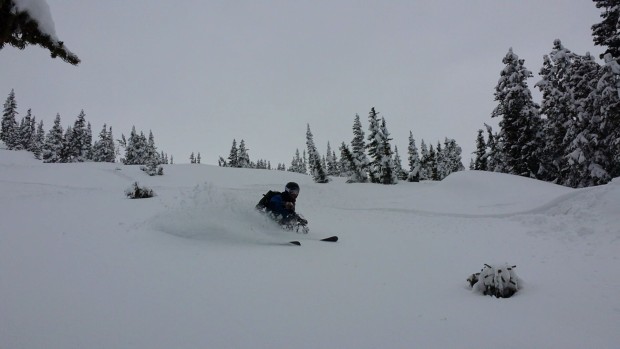 early bird gets the worm! [skier: Wilder Daniels, Photo: Aaron Rice]