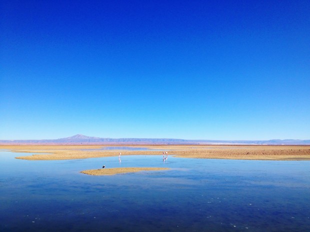 Chaxa Lagoon